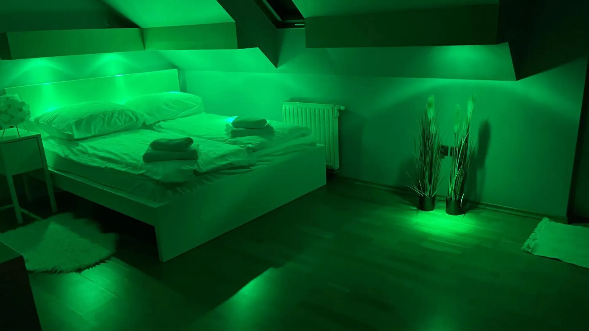 Villa Dom Z Ogrodem W Krakowie
