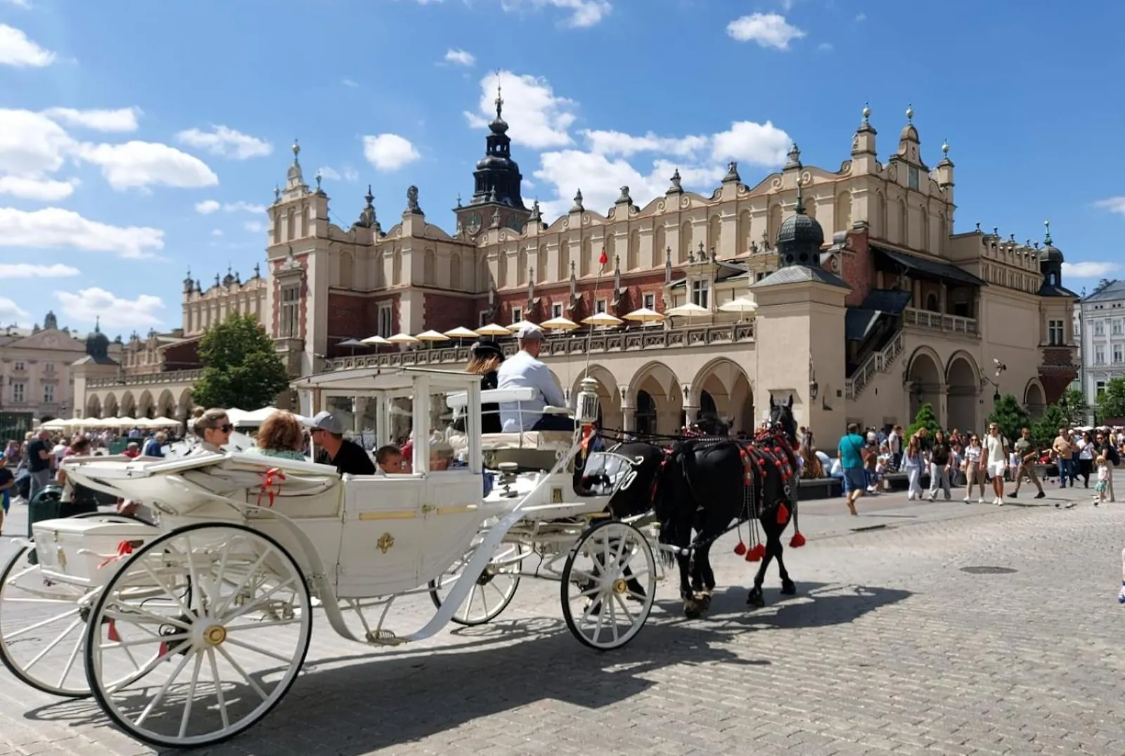 Dom Z Ogrodem W Krakowie Villa Krakow